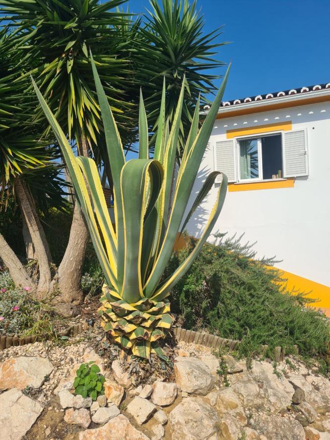 Casa Ensolarada B&B And Pottery Алжезур Экстерьер фото